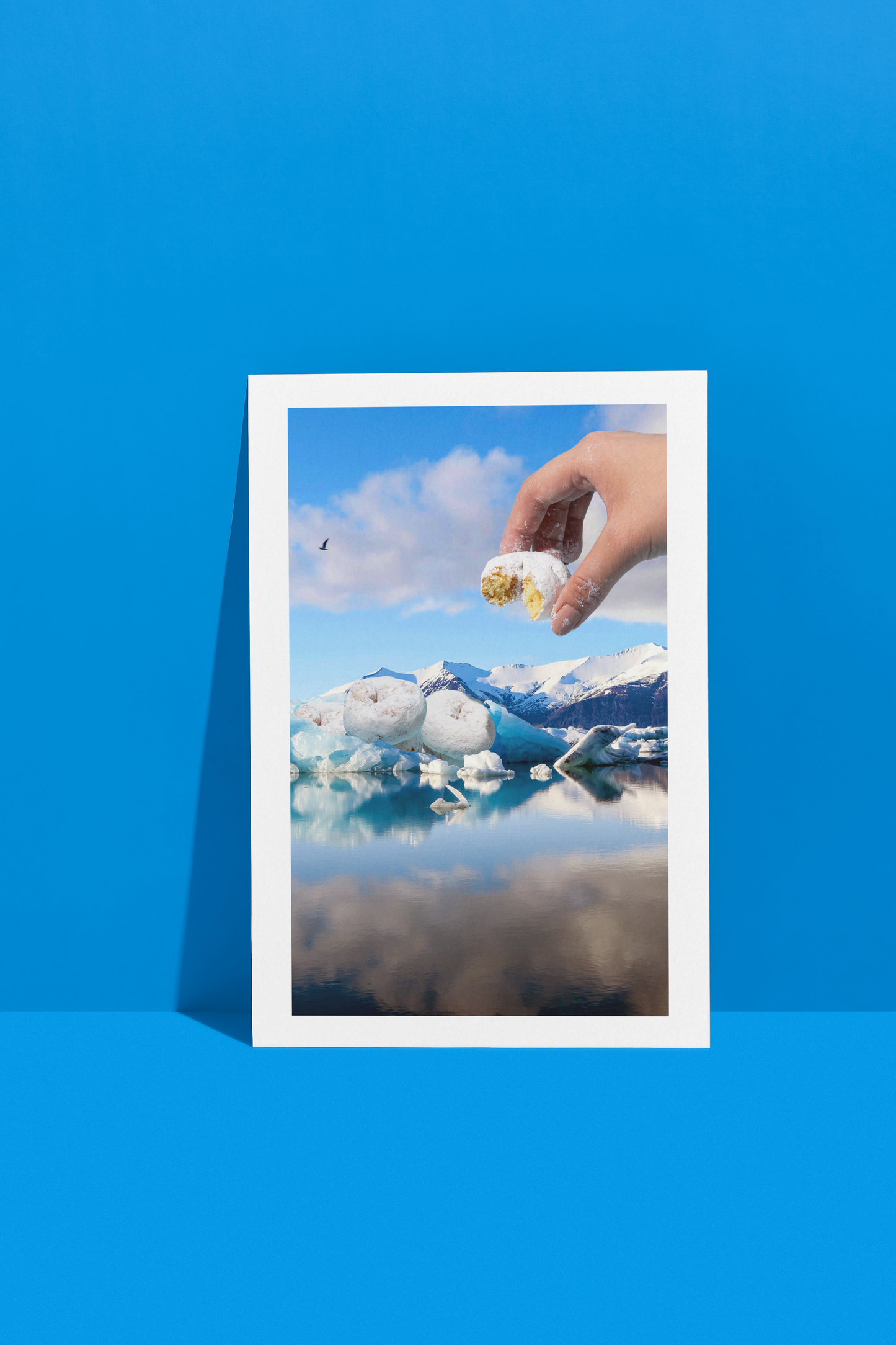Postcard ✰ Freezer Donuts