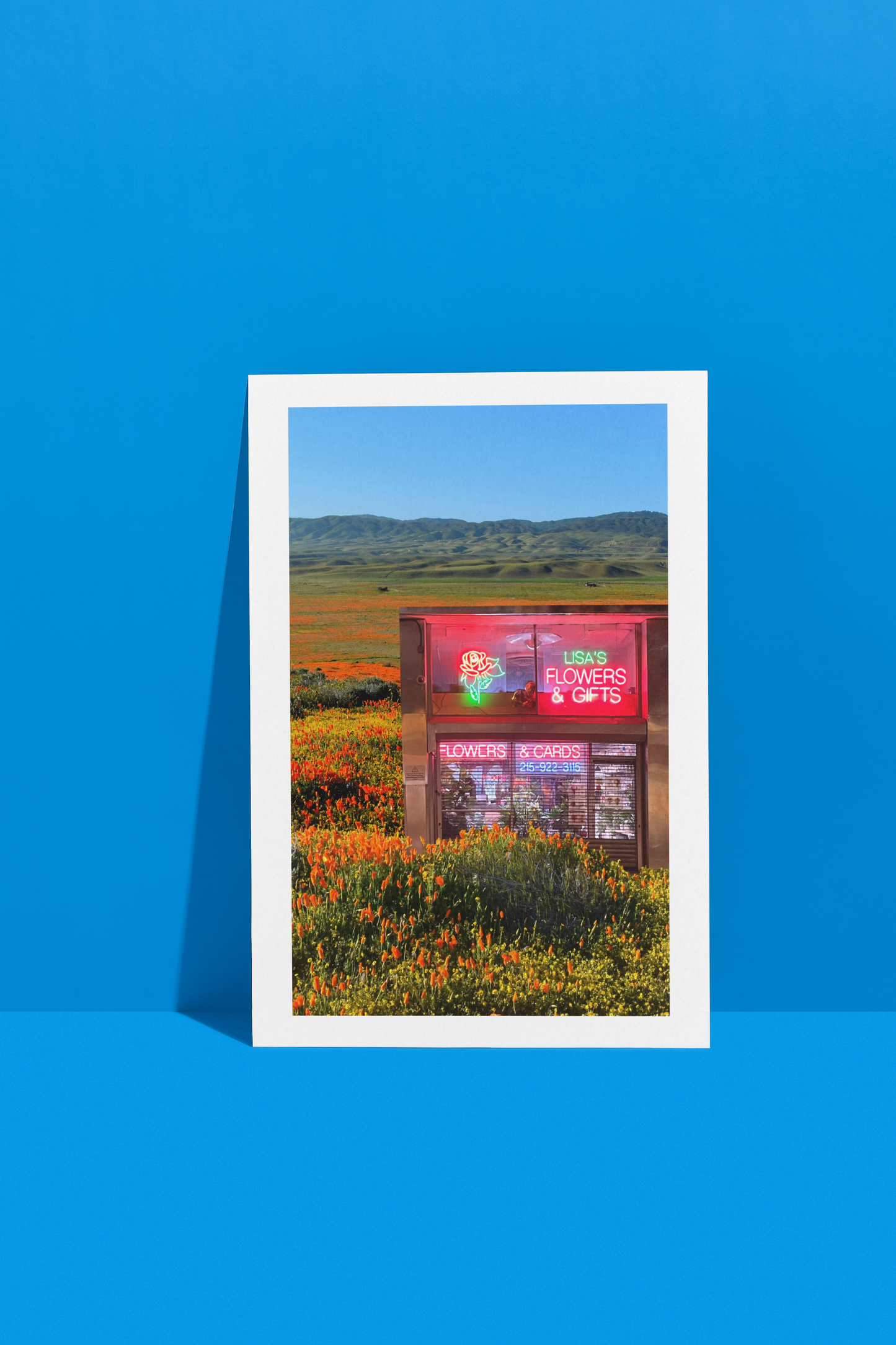 Postcard ✰ Lisa's Flowers